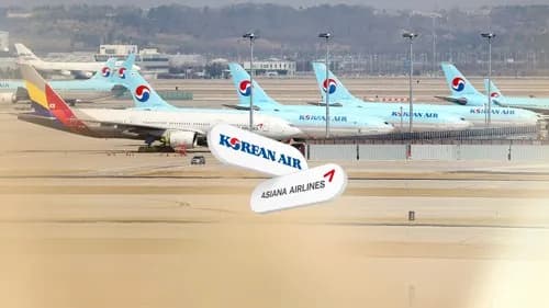 “기업결합 격려금, 우린 왜 안주나”…‘한 가족’ 강조한 조원태 회장, LCC도 챙길까 이미지