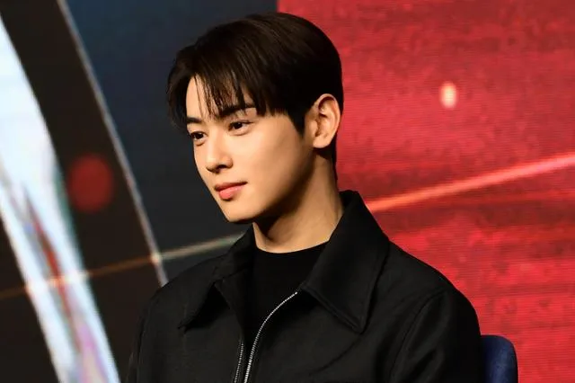 '차은우 탈세 의혹 벗으려면?'... 국세청 답은 "법인, 업무 흔적 있어야" 이미지