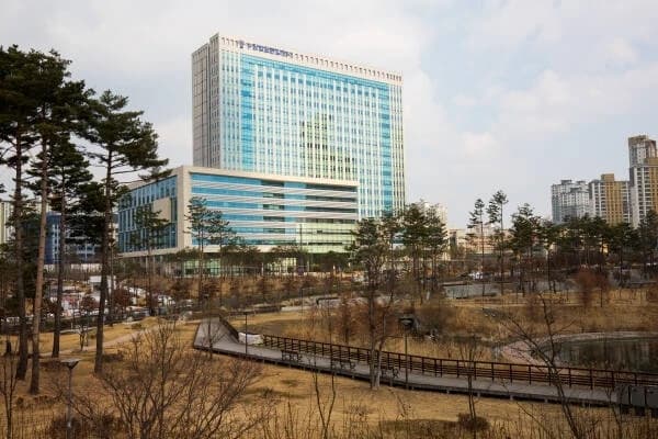 번화가 도로 검은 옷 입고 누워있던 보행자…치고 간 운전자, 결국 ‘무죄’ 이미지