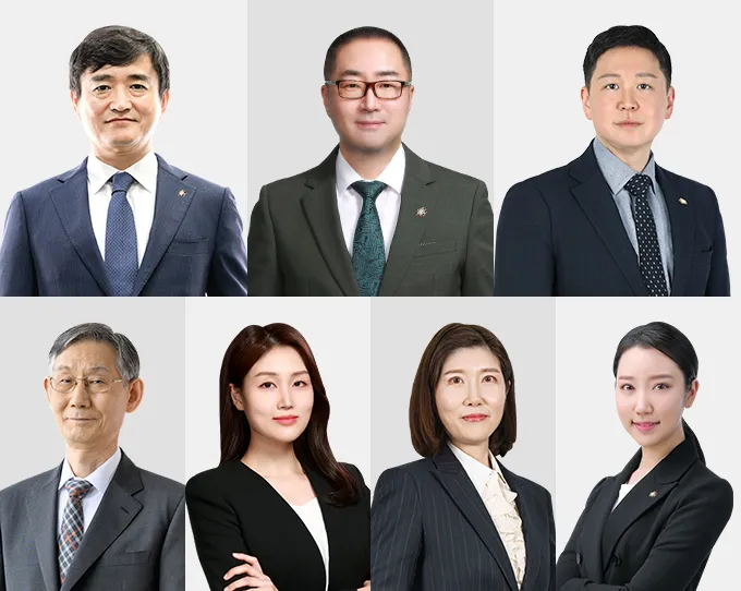 지식재산권 법률 수요 증가…법무법인 대륜, ‘원팀’ 체제로 전방위 대응 이미지